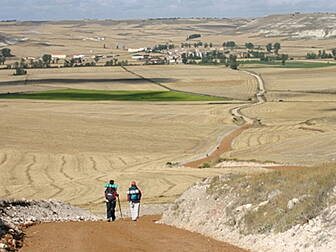 Cawley's Camino